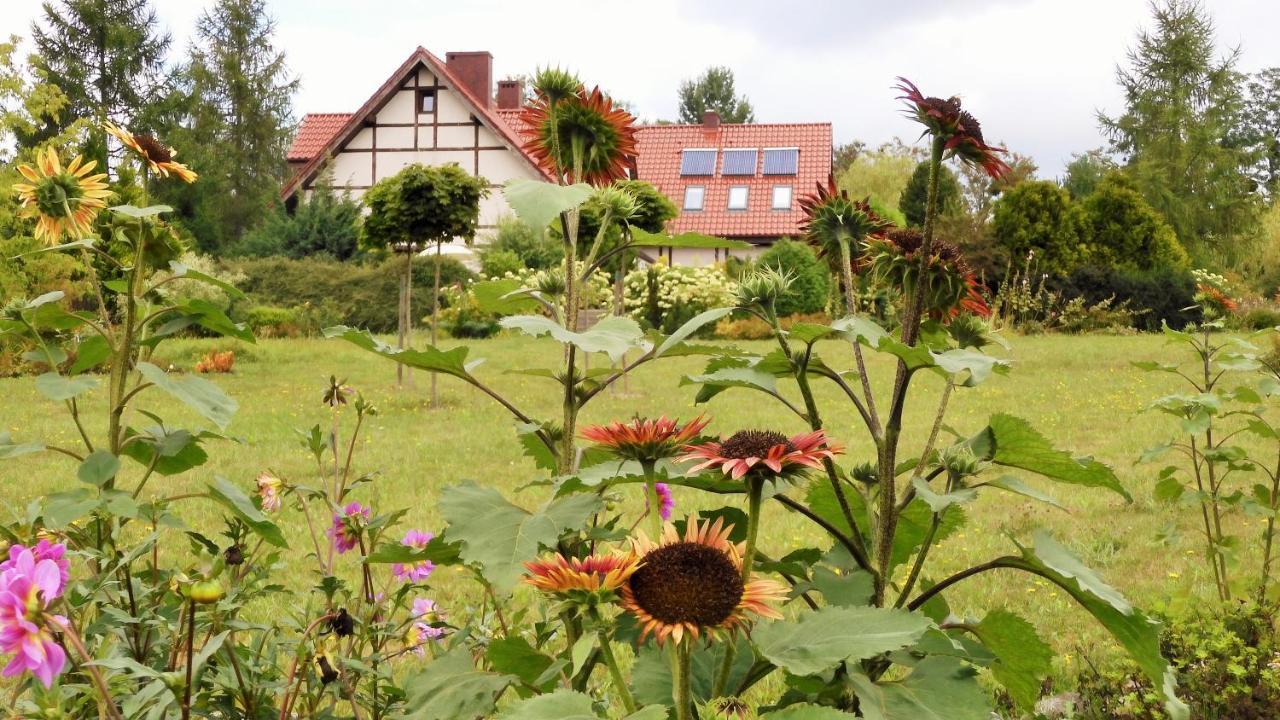 Villa Orlik บาร์ลิเนค ภายนอก รูปภาพ