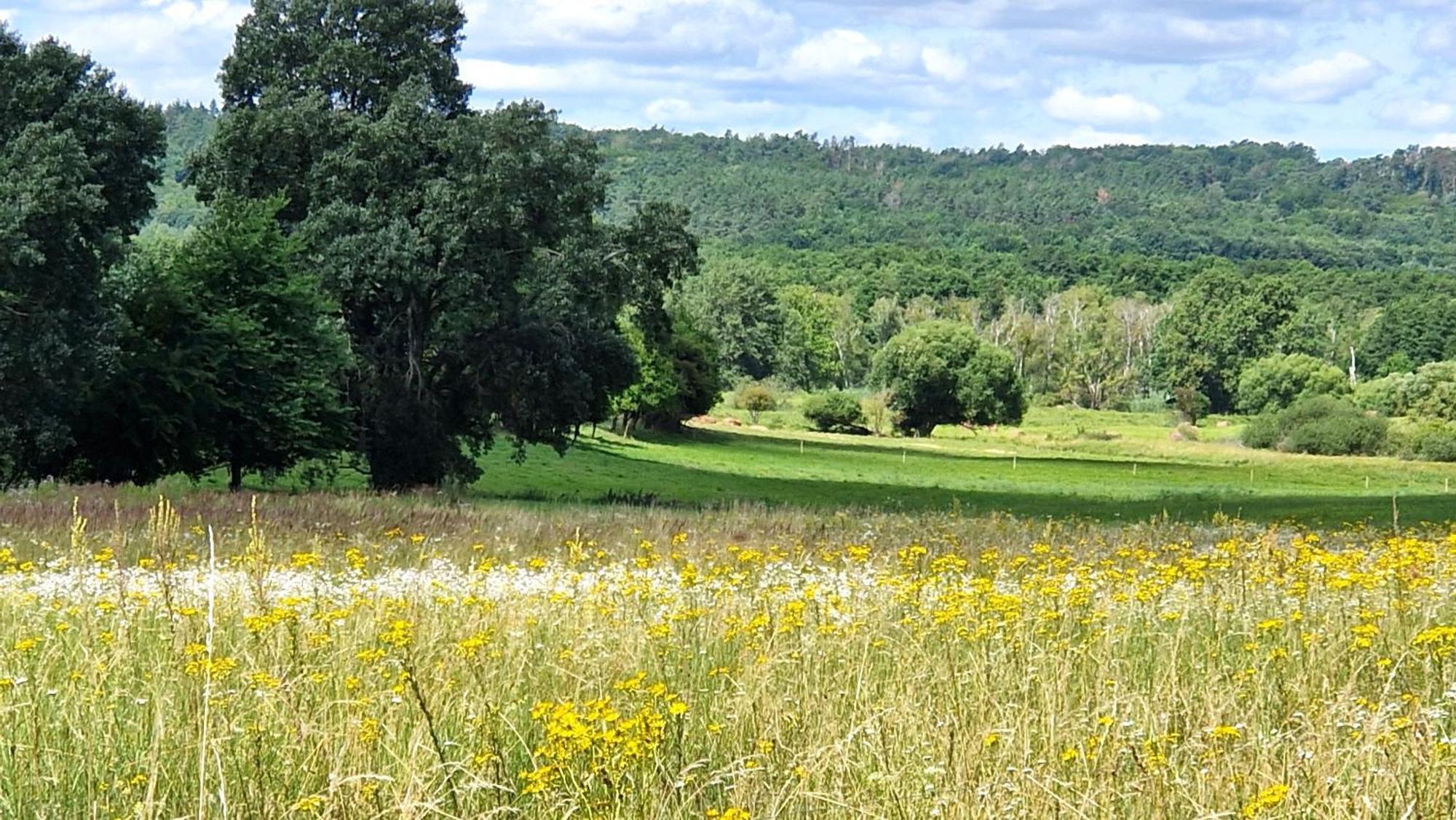 Villa Orlik บาร์ลิเนค ภายนอก รูปภาพ