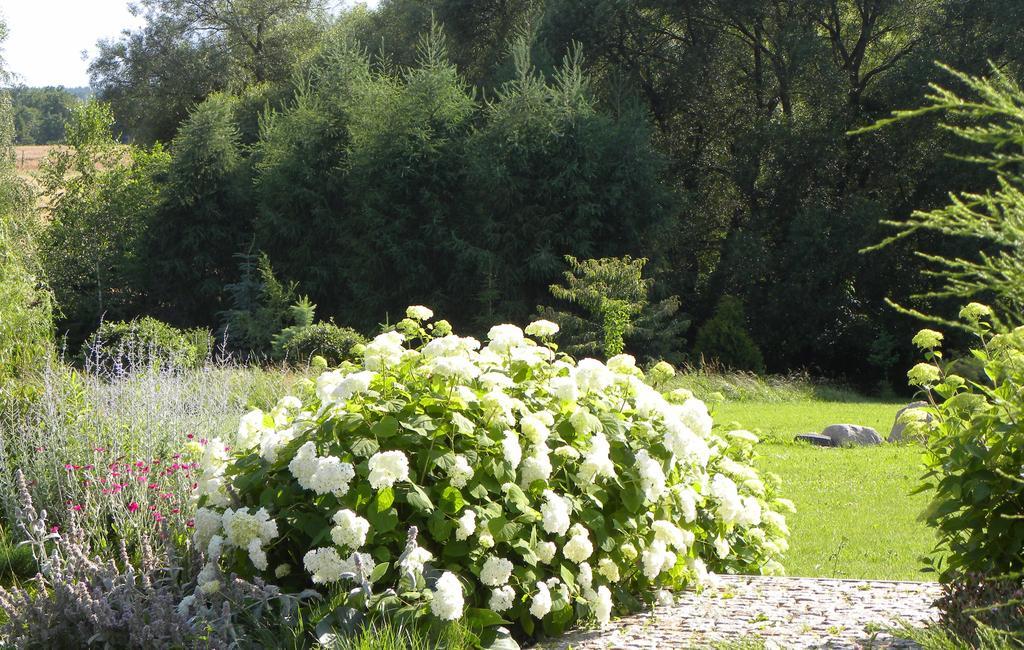 Villa Orlik บาร์ลิเนค ภายนอก รูปภาพ